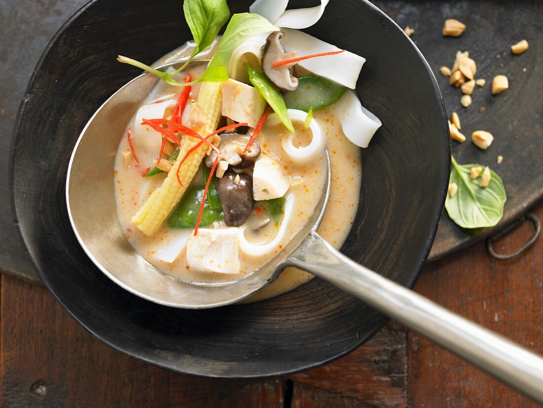 Thai-Hühnernudelsuppe mit Curry