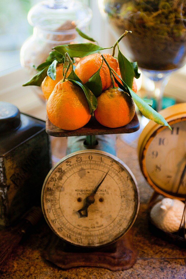 Kalifornische Clementinen auf einer antiken Küchenwaage