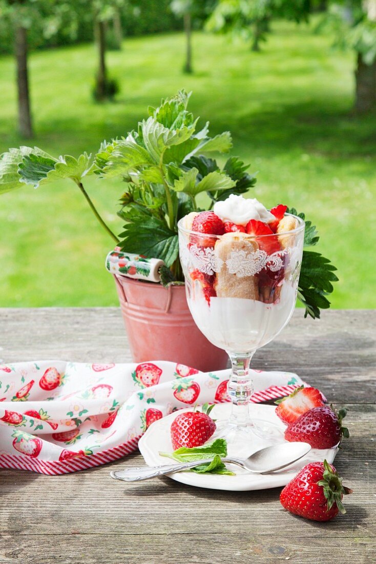 Erdbeer-Tiramisu auf Gartentisch