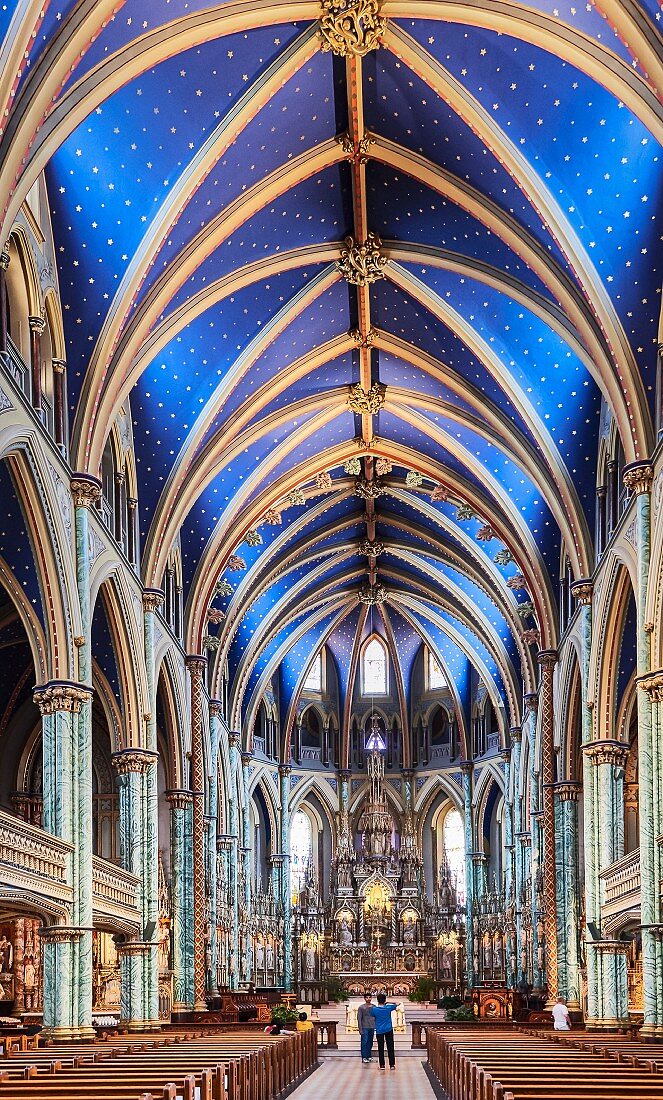 The Notre-Dame Cathedral Basilica in Ottawa, Canada