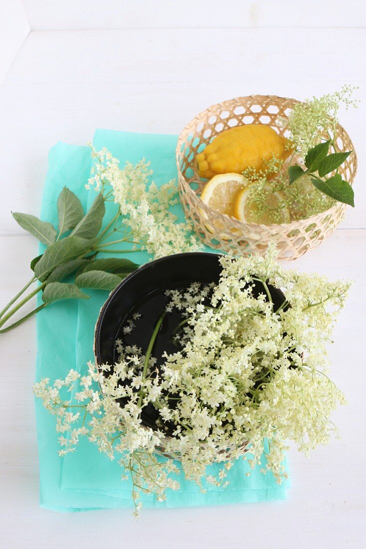 Frische Holunderblüten in schwarzer Schale, daneben Zitronen im Korb auf türkisem Seidenpapier