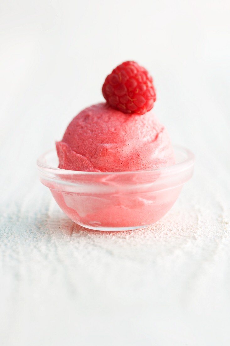 Raspberry sorbet