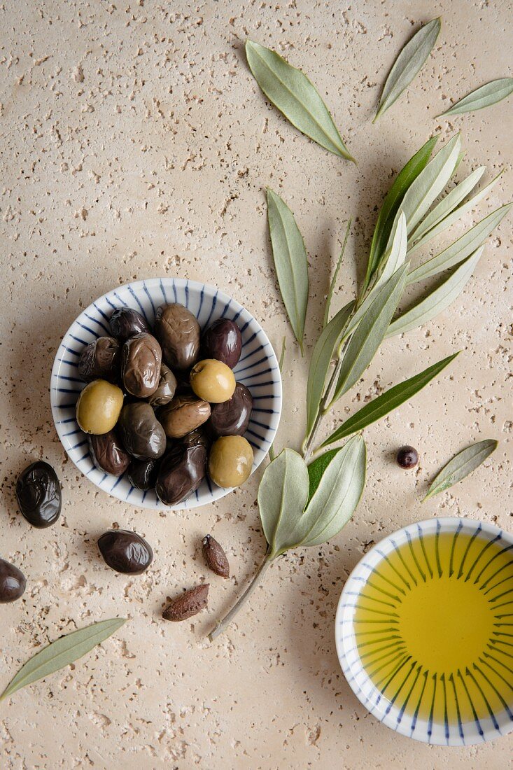Olives with an olive branch and olive oil, view from above