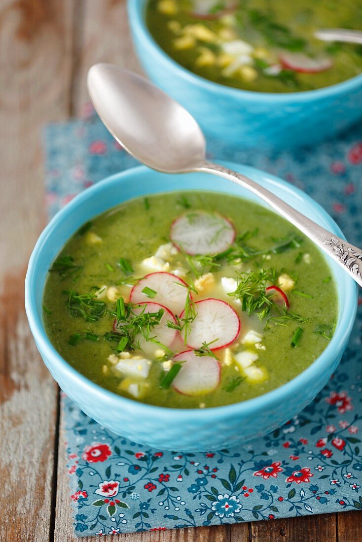 Spinach soup with egg and red radishes