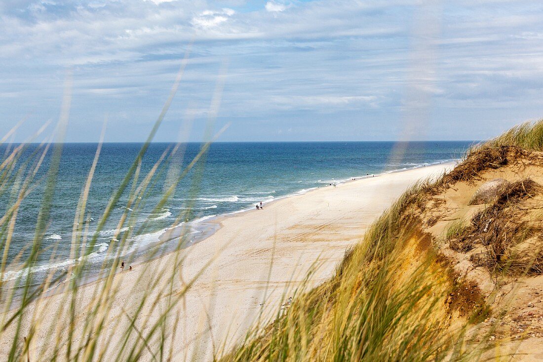 A view of the beach and dunes on the island of Sylt, Germany