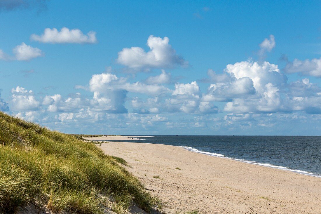 The beach on the Ellenbogen part of the island of Sylt, Germany