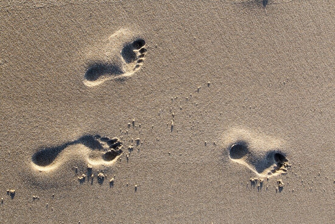 Fußspuren im Sand am Strand, Sylt, Deutschland
