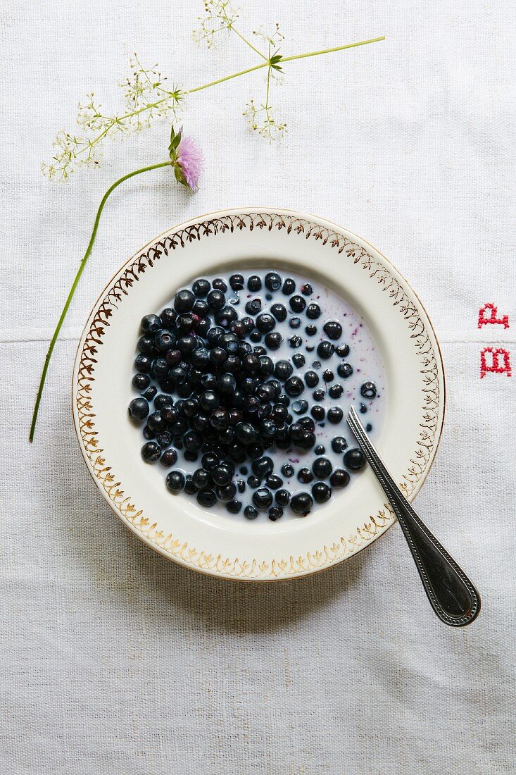 Heidelbeeren in Milch auf Leinentuch