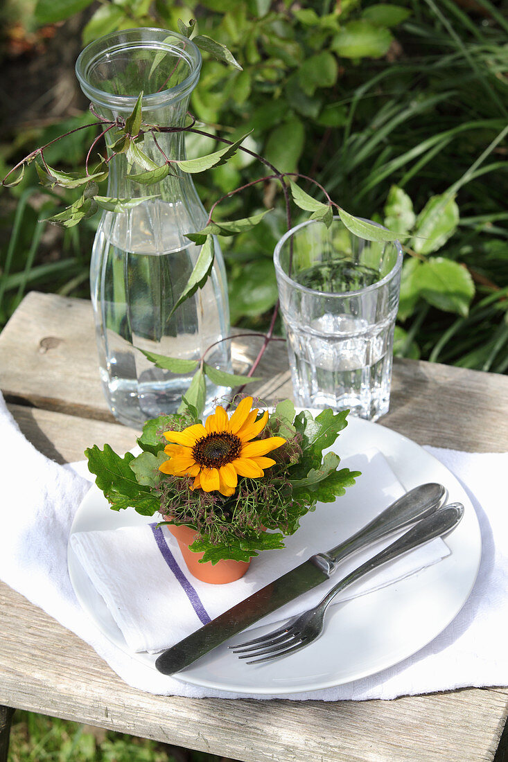 Sunflower in small terracotta pot decorating table