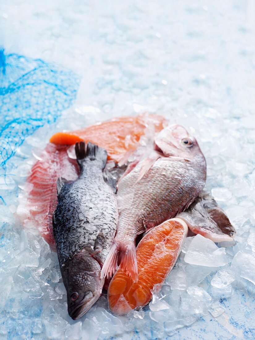 Fresh Fish on ice cubes