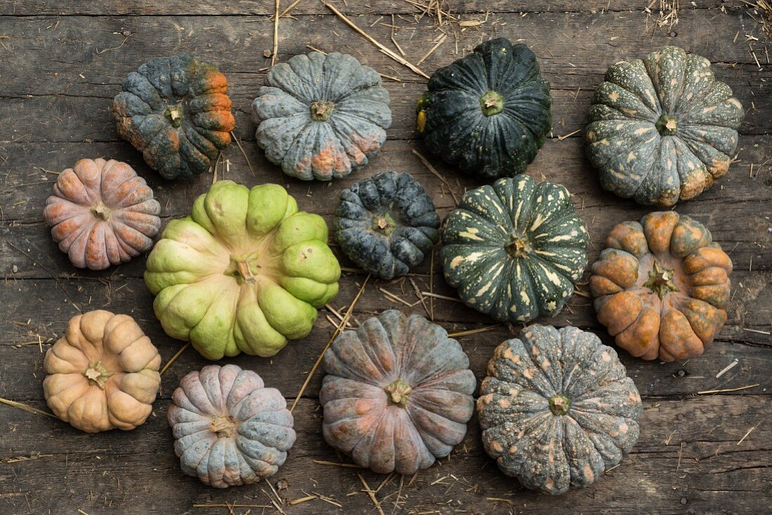 Asian musk melon on a rustic wooden background