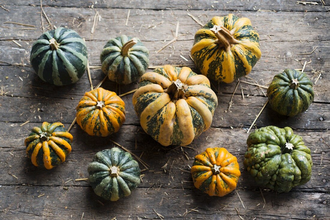 Tonda Padana pumpkins on a rustic wooden background