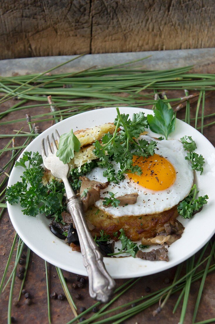 Kartoffelpuffer mit Spiegelei und gebratenen Pilzen