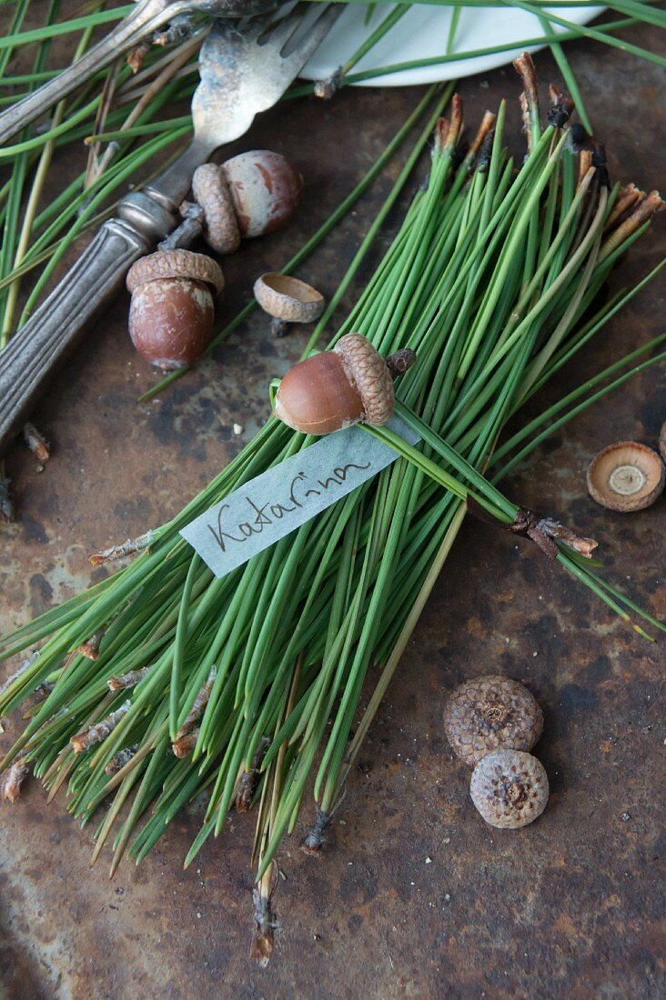 A bunch of pine needles and acorns with a name tag