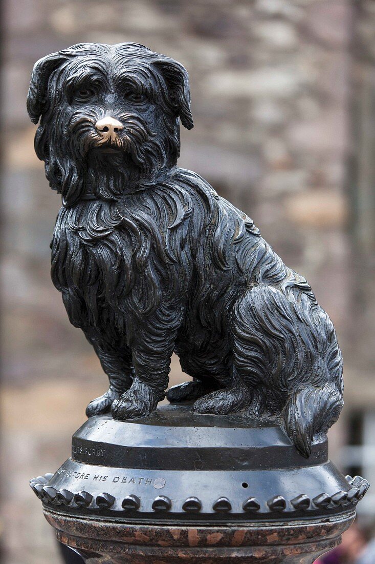 A monument for Greyfriars Bobby (a Skye Terrier) in Edinburgh, Scotland