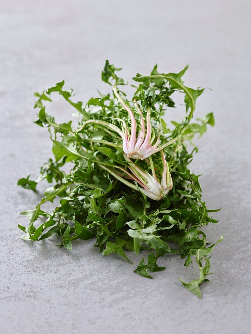 Puntarelle (variety of chicory)