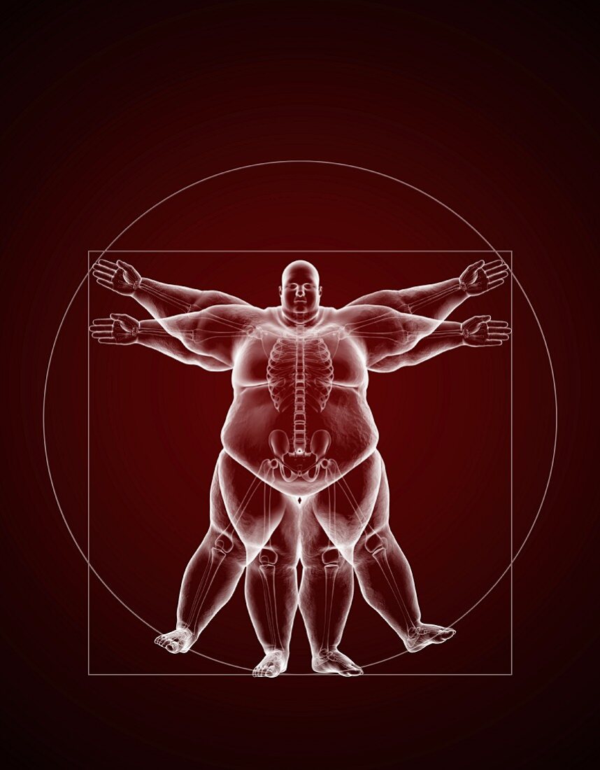 Overweight Vitruvian Man