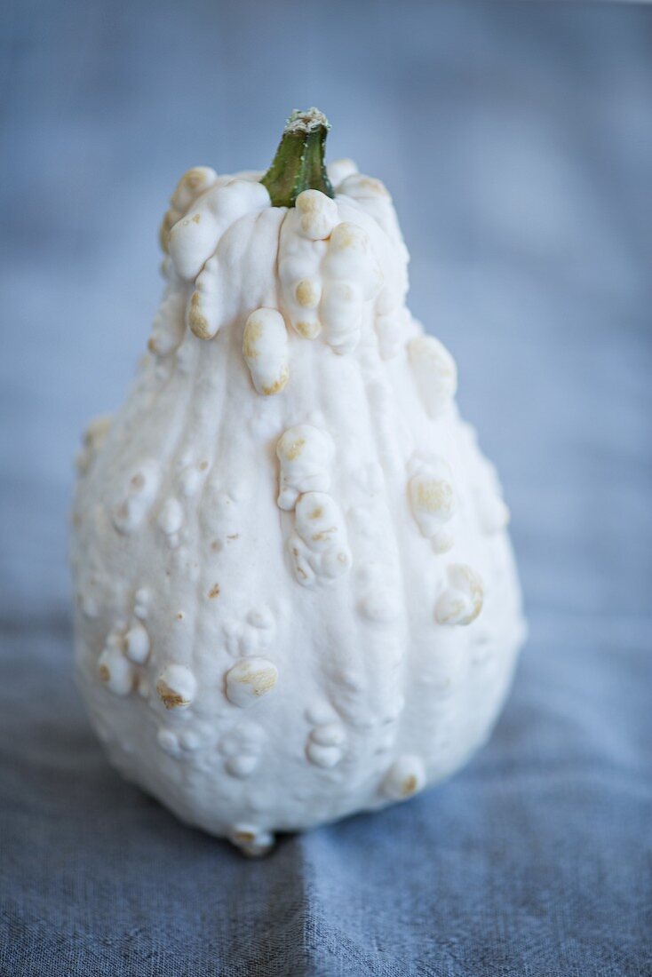 A calabash on a wooden background