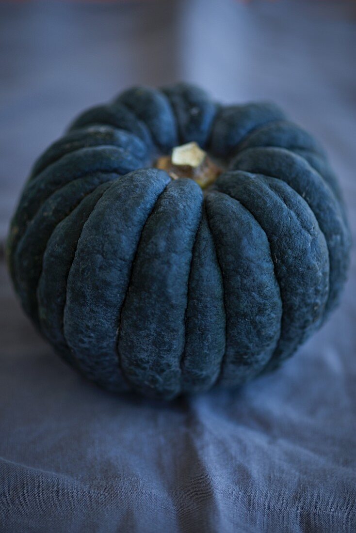 A Hayato pumpkin