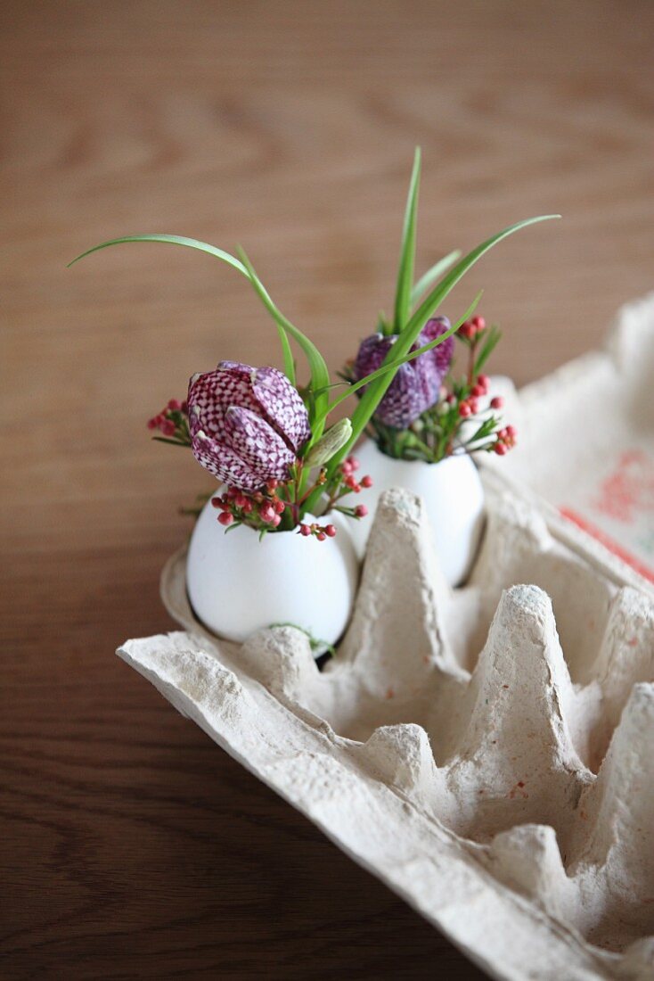 Flowers arranged in goose eggs in egg carton