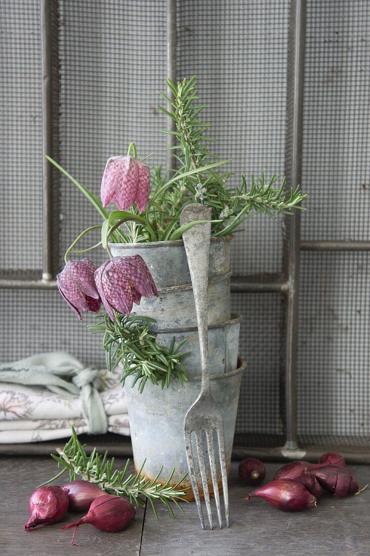 Nostalgisches Arrangement mit gestapelten Zinkübertöpfen, Schachbrettblumen, Zwiebeln und Vintage-Gabel