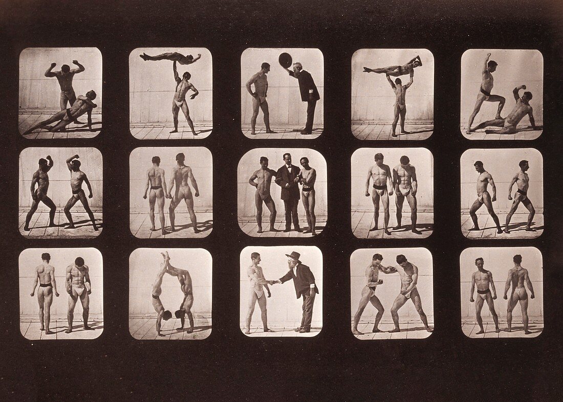 Muybridge strongman study, 1870s