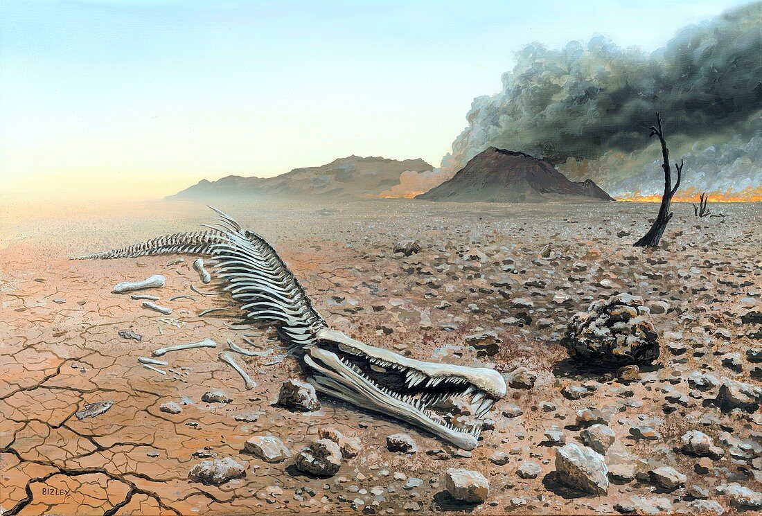 Triassic-Jurassic extinction, illustration