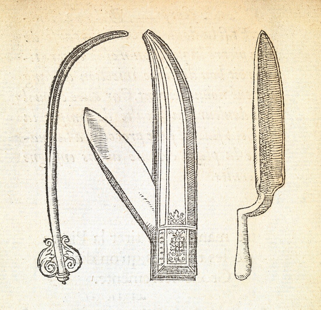 Hernia surgery instruments, 16th century
