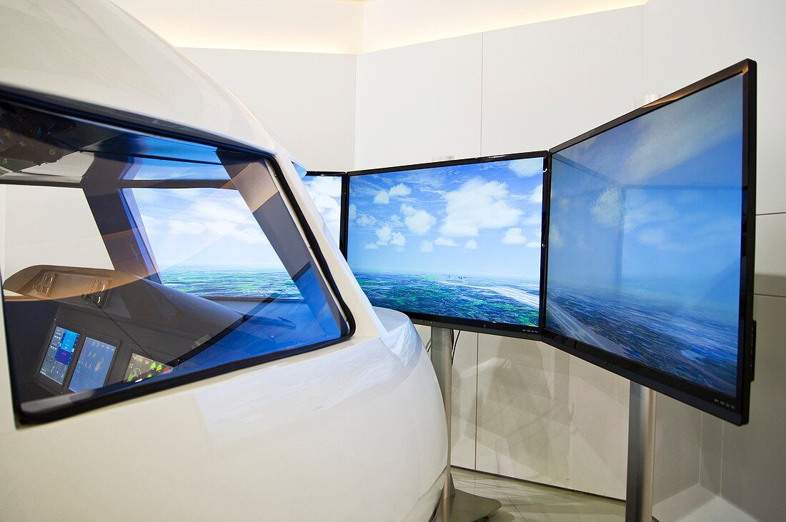Aircraft flight simulator