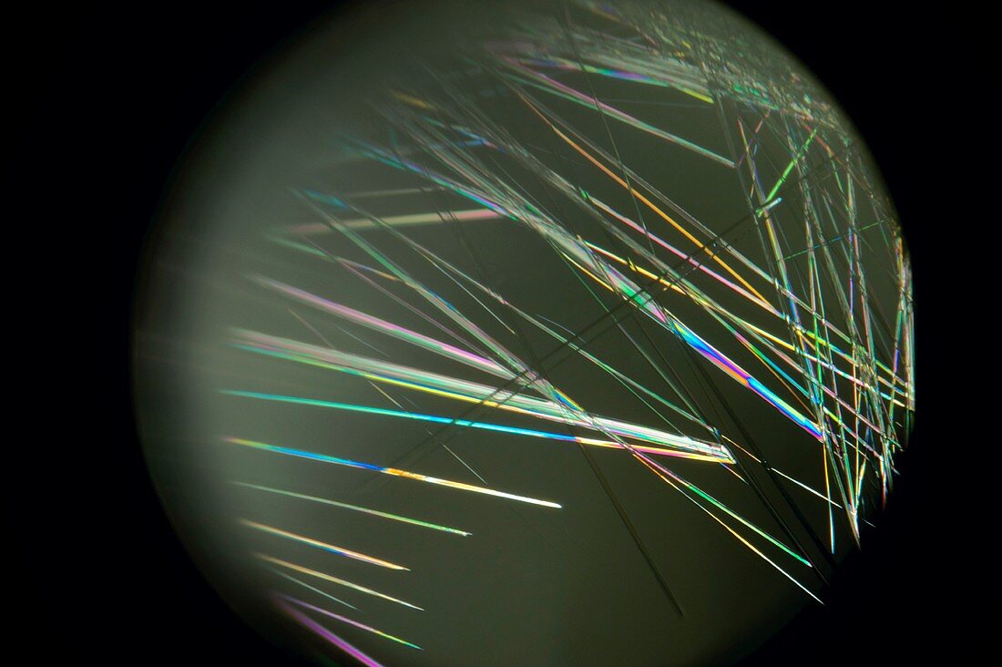 Needle-shaped crystals, light micrograph
