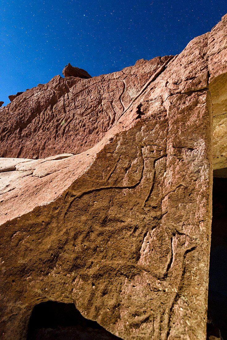 Atacama petroglyphs, Chile