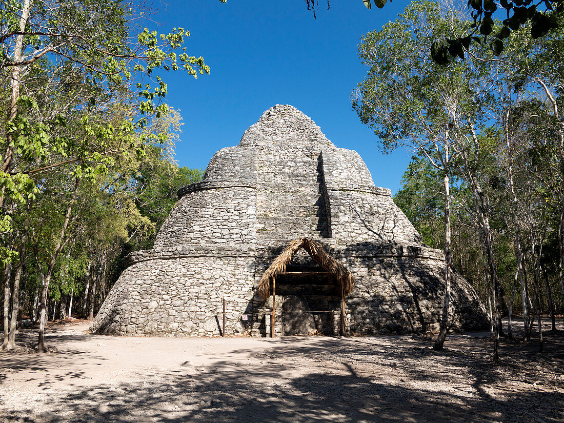 Coba Mayan pyramid, Mexico