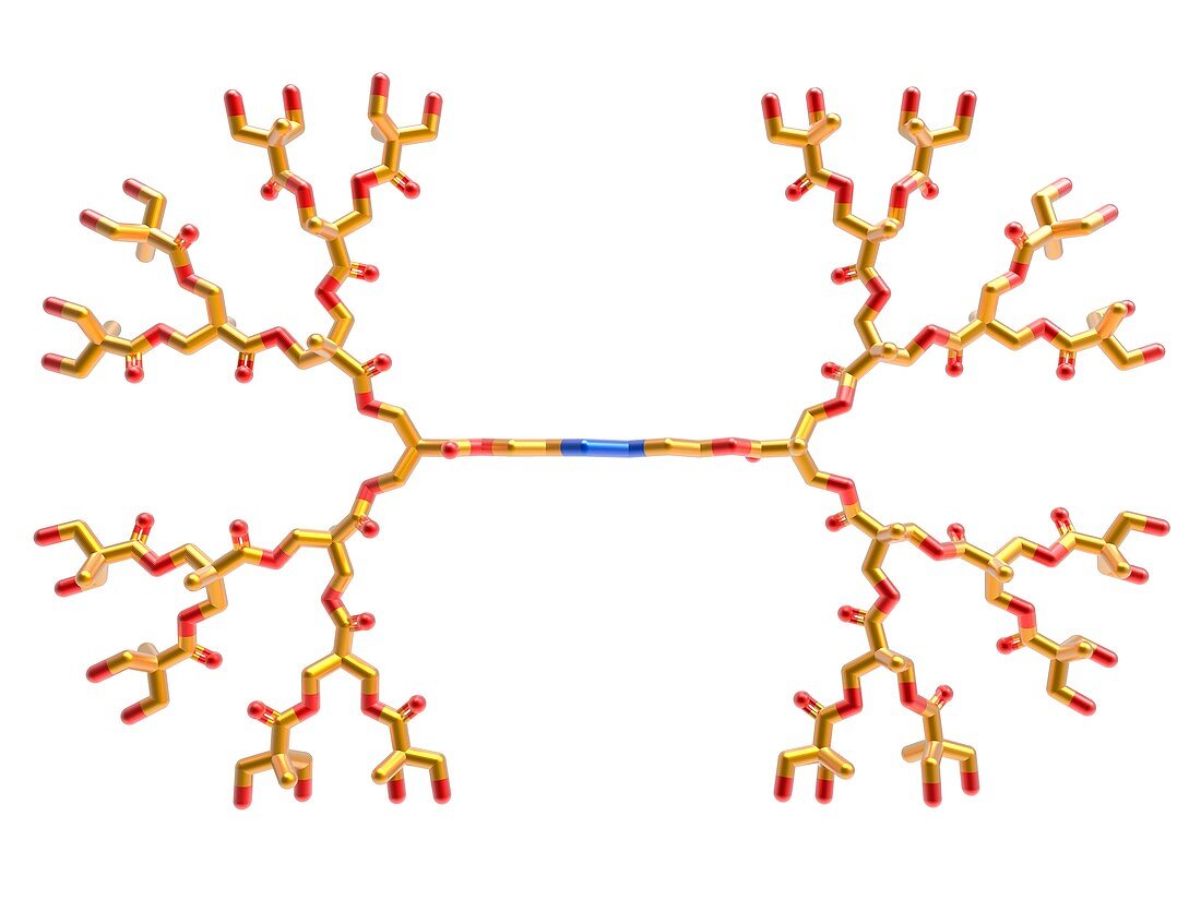 Dendrimer, molecular structure