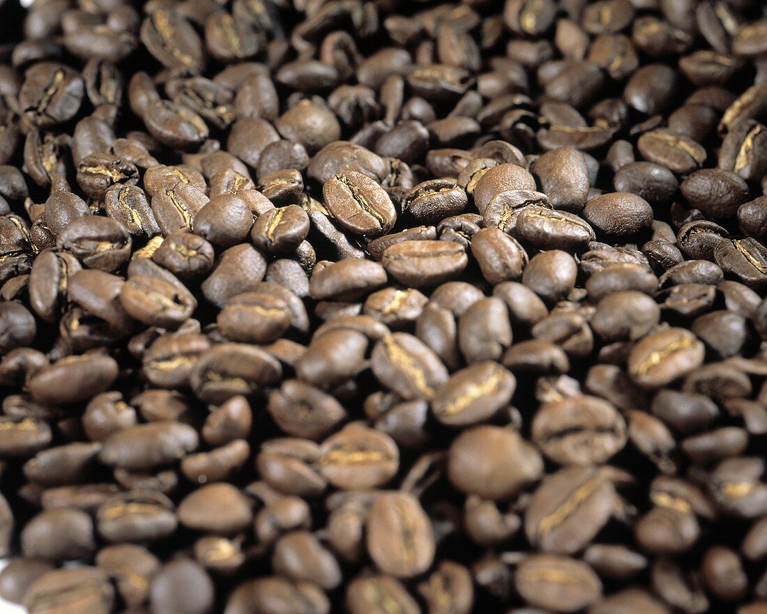 Coffee Beans