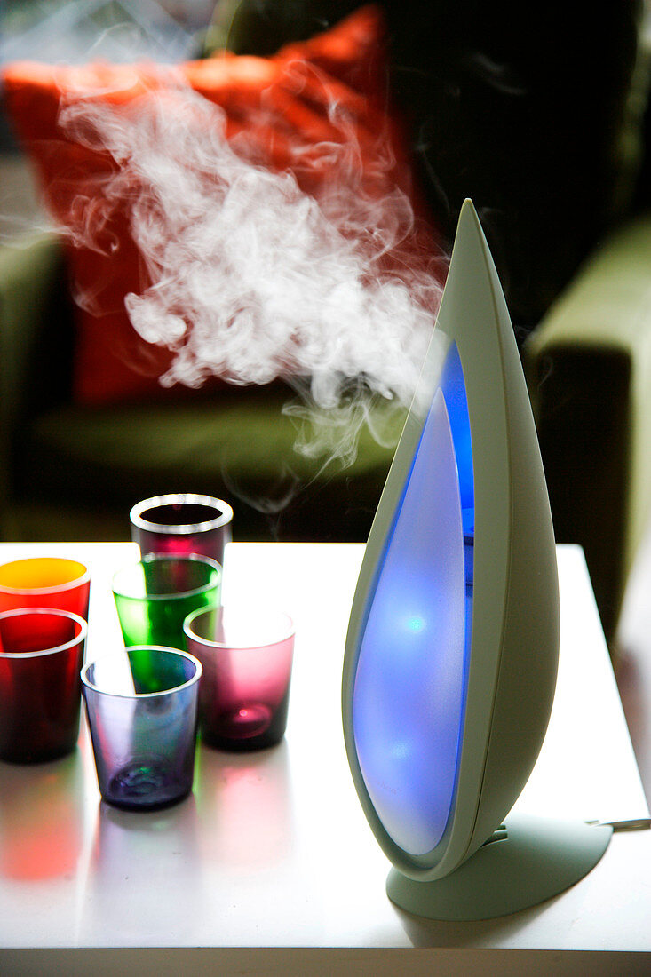 Ionizer and essential oil diffuser