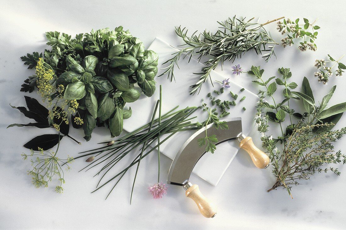 Assorted Herbs with a Chopping Knife
