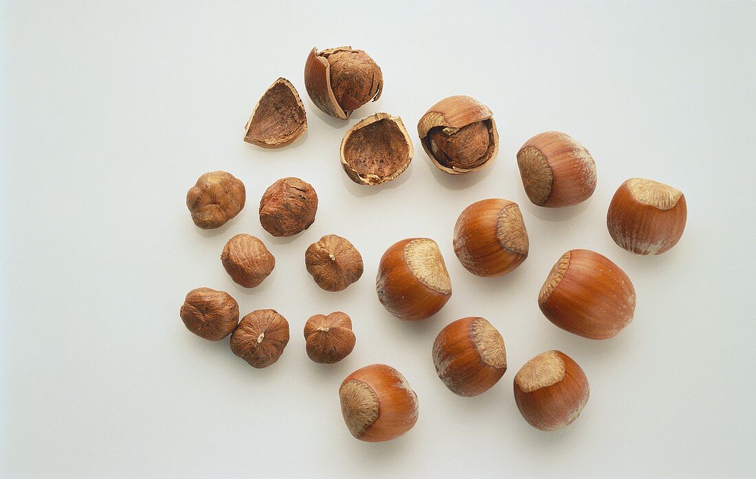 Hazelnuts, with and without shells