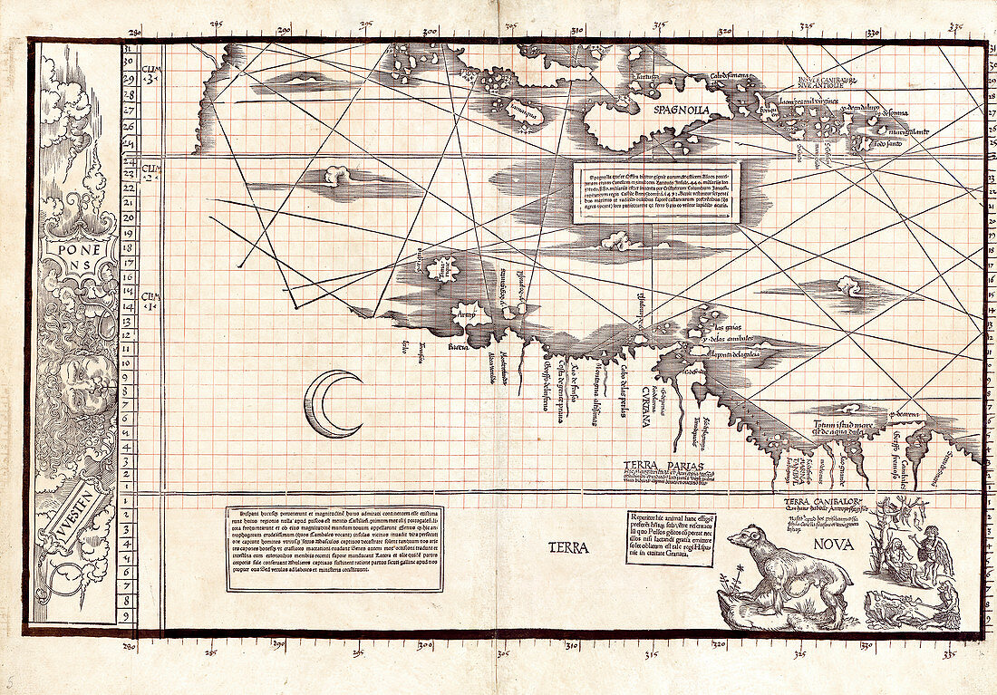 Section of Waldseemuller's Carta Marina, 1516