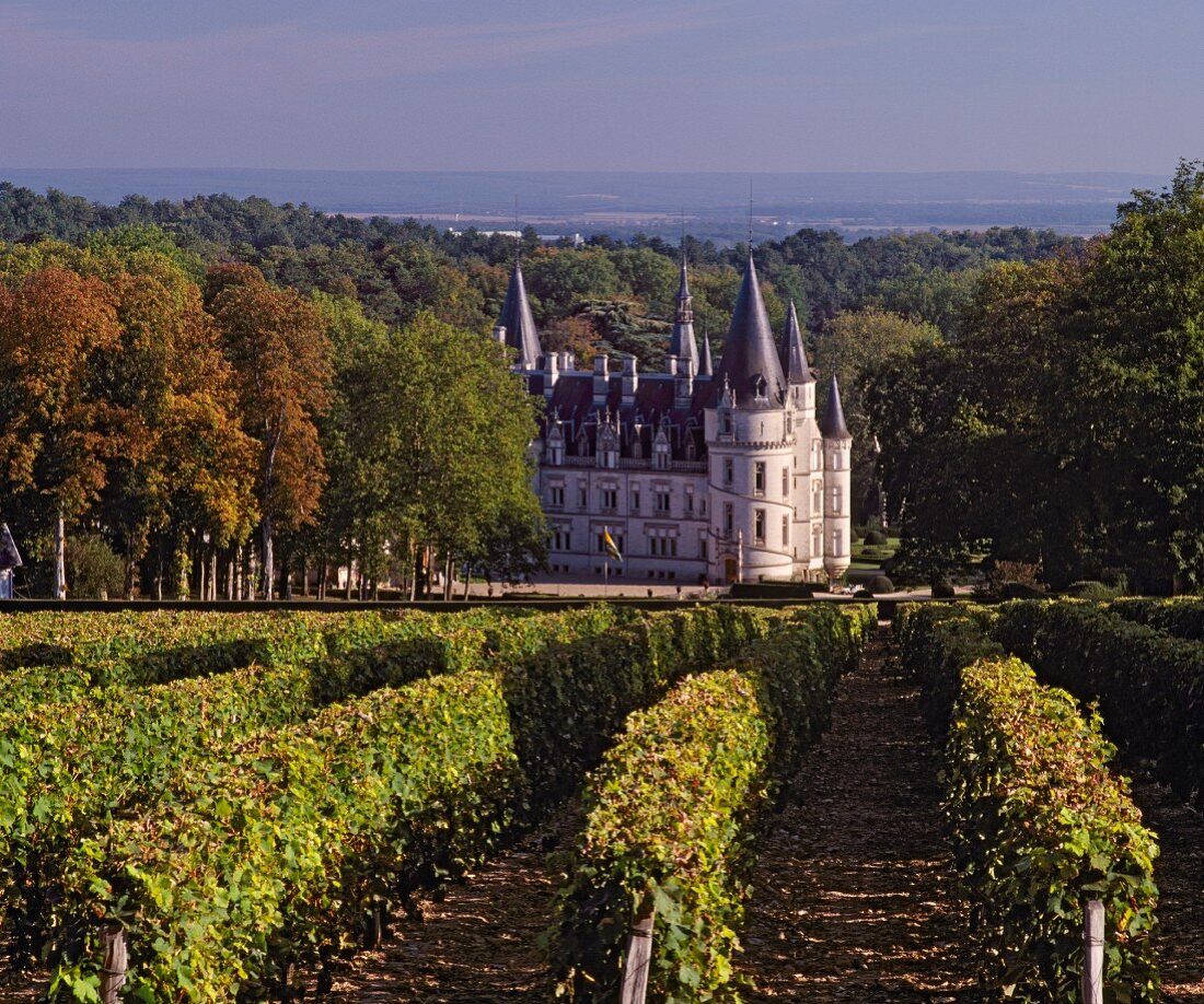 Château du Nozet von Baron de Ladoucette, Pouilly-Fume, Loire