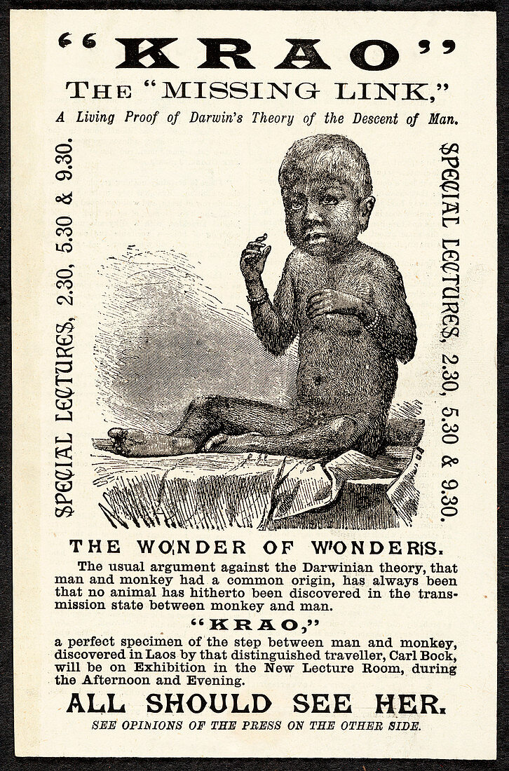 Hypertrichosis exhibit poster,1887