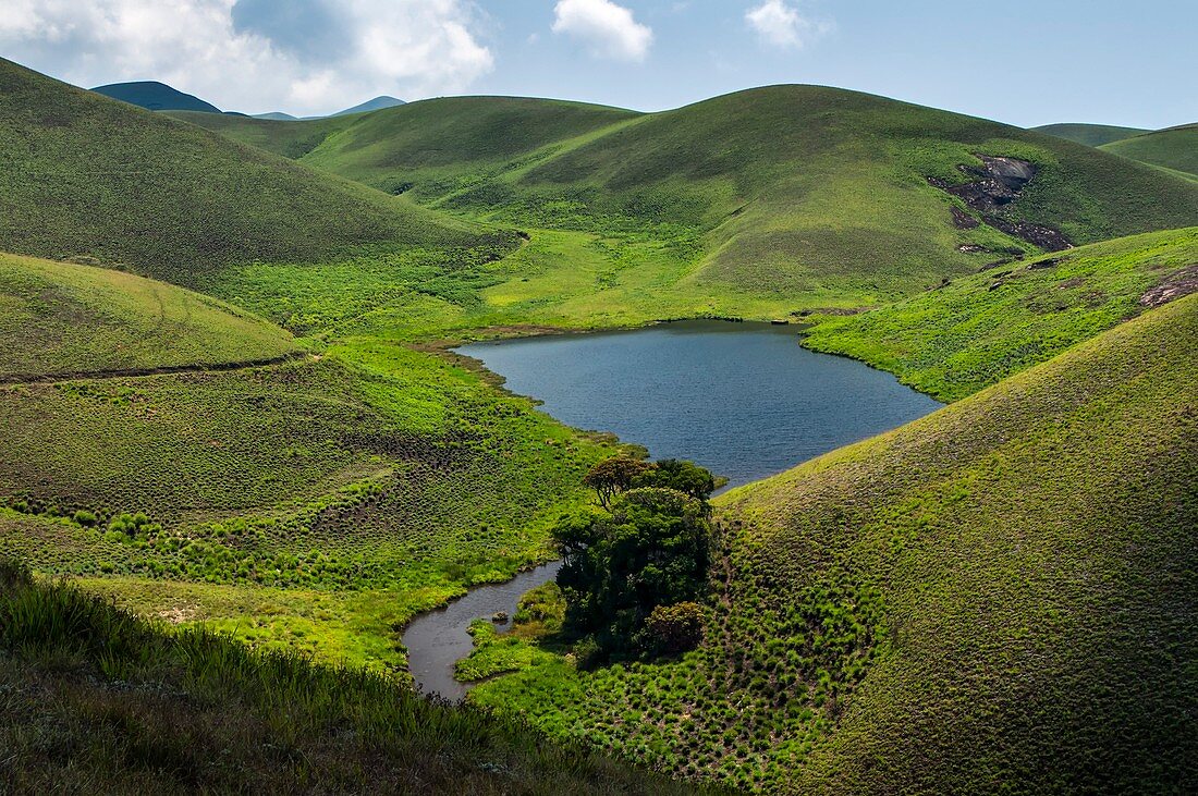 Grassy hills and lake,India