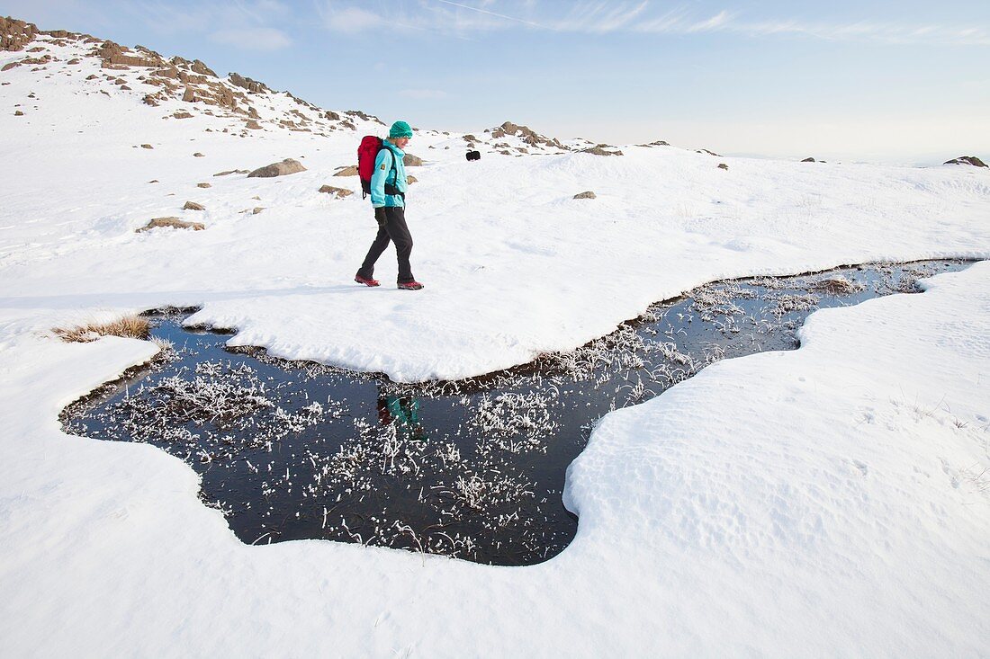 Woman hill walker by a frozen bog