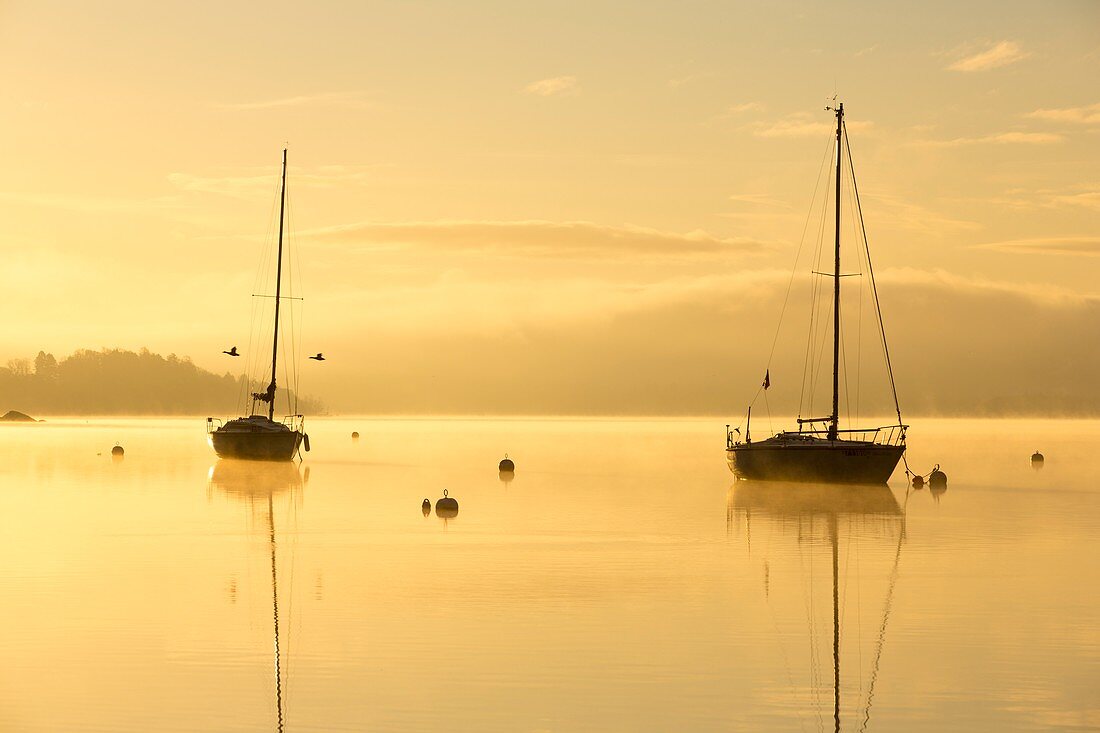 Sunrise over sailing boats