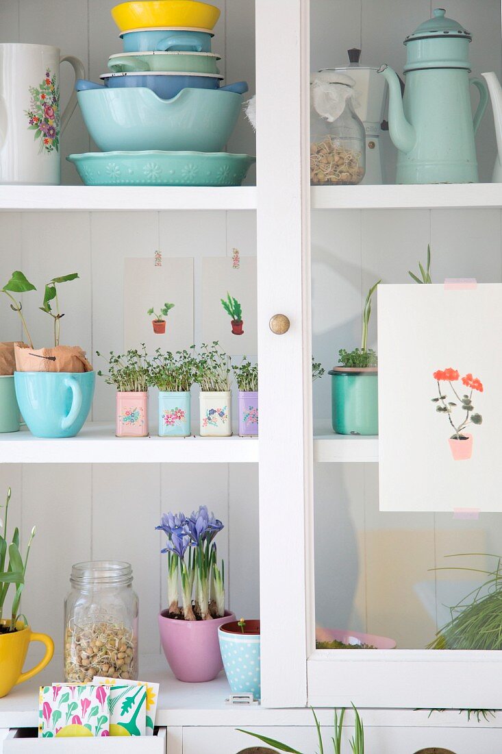 Pastel crockery and planted tins in white dresser