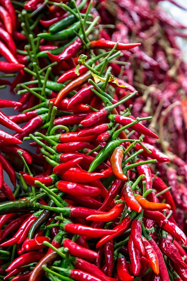 Chili am Markt, Amalfiküste, Italien