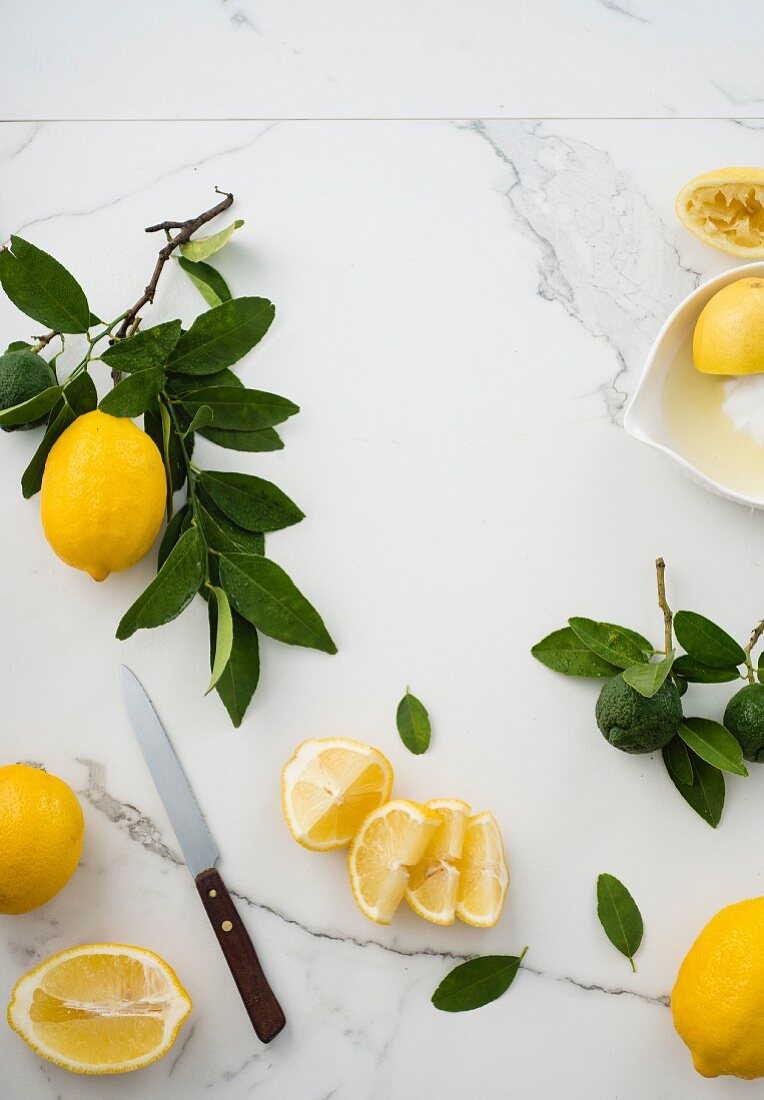 Zitronenstilleben mit Zitronenzweig und geschnittenen Zitronen