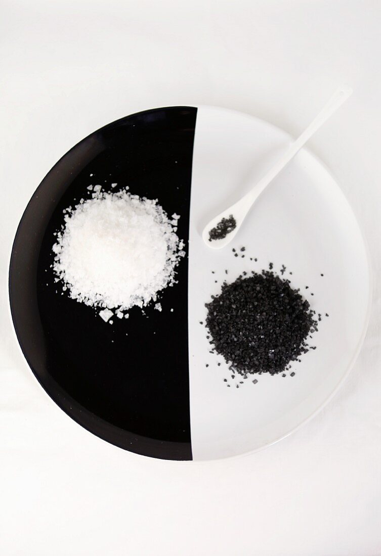 Schwarzes Salz und weisses Salz auf schwarz-weißem Teller mit Löffel