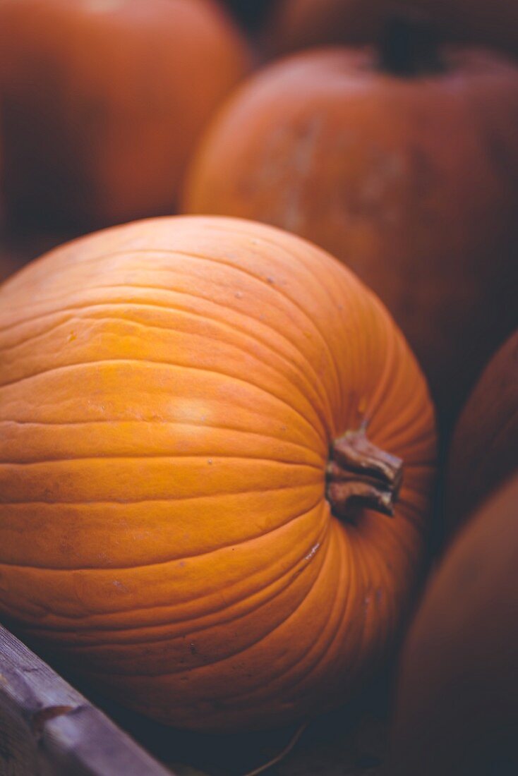 Orange pumpkins