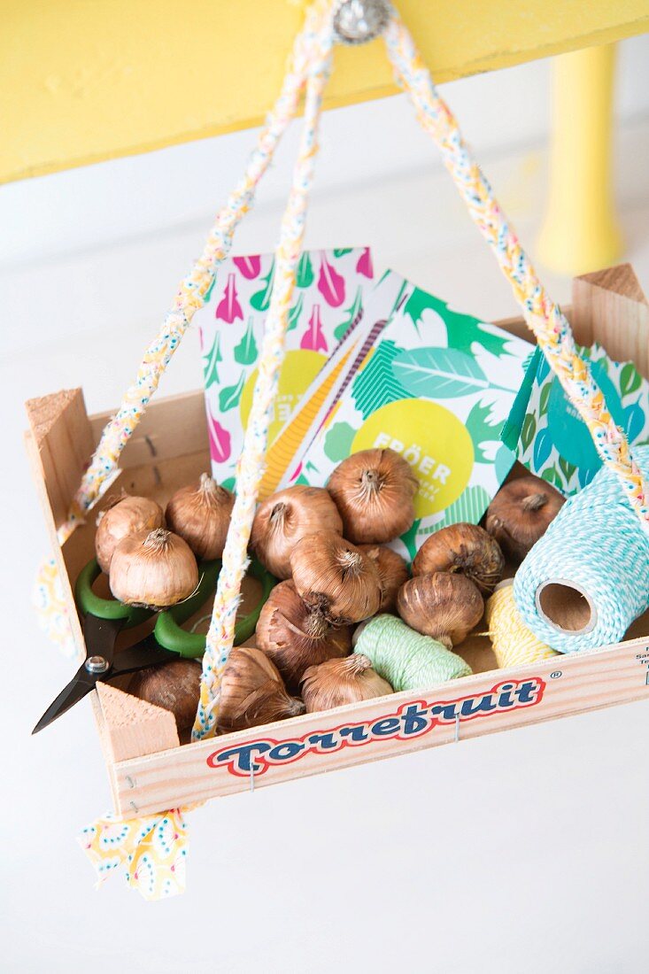 Various seed packets and bulbs in recycled fruit crate hanging from yellow ribbons