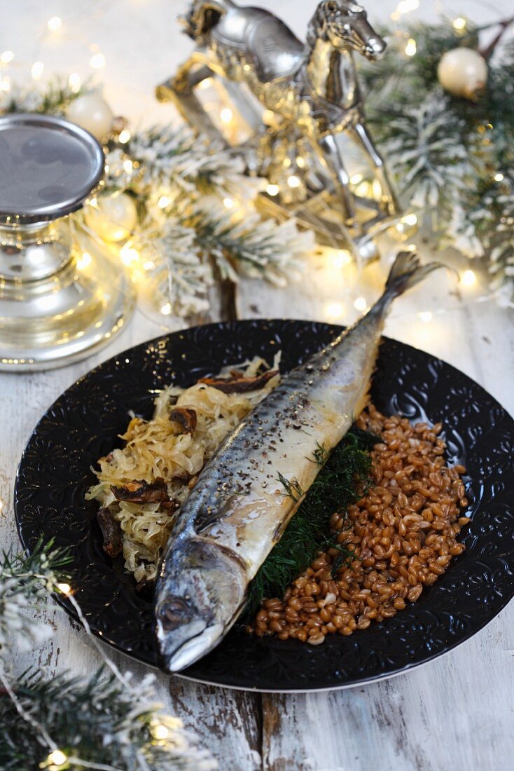 Mackerel with white cabbage and grains for Christmas